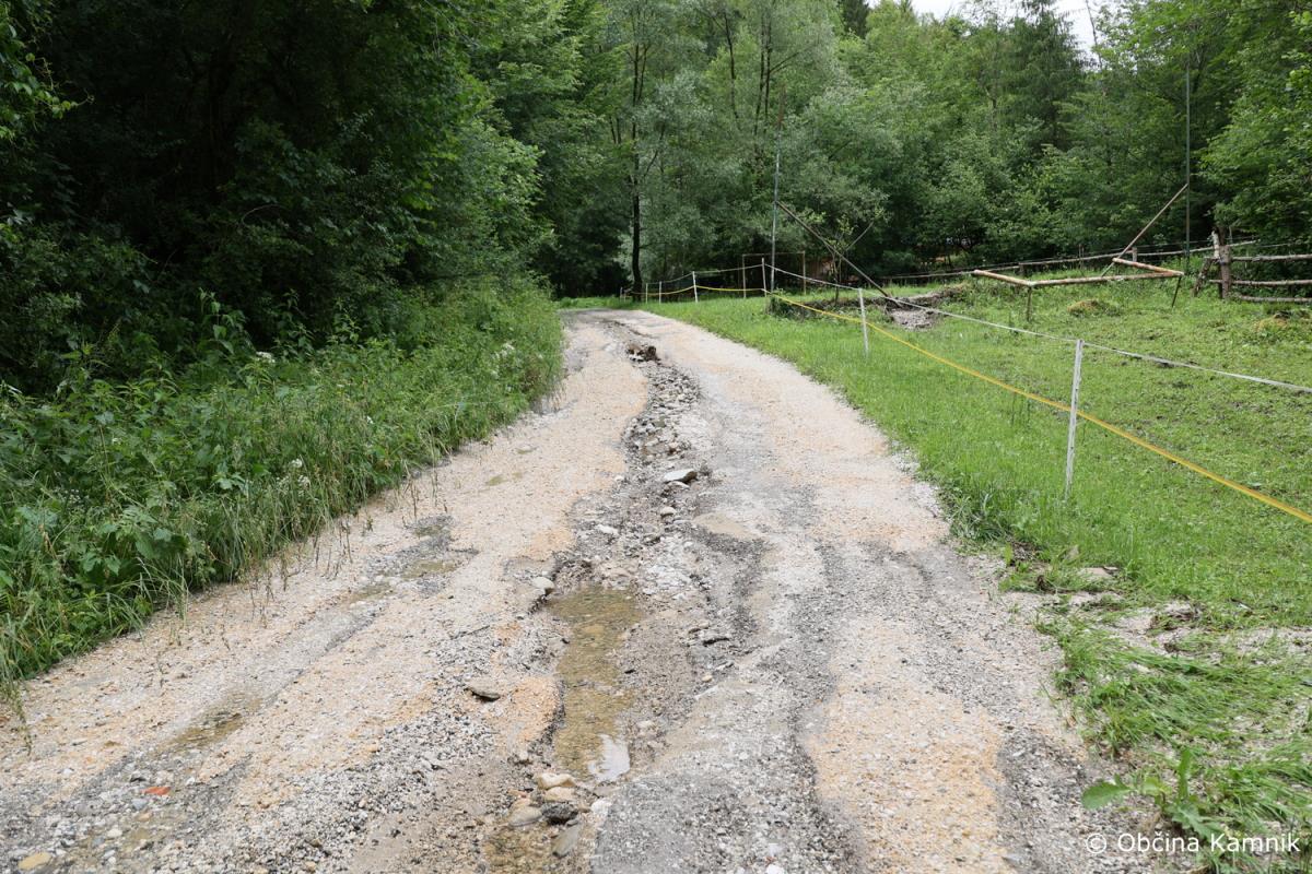Neurje_Občina Kamnik (6)